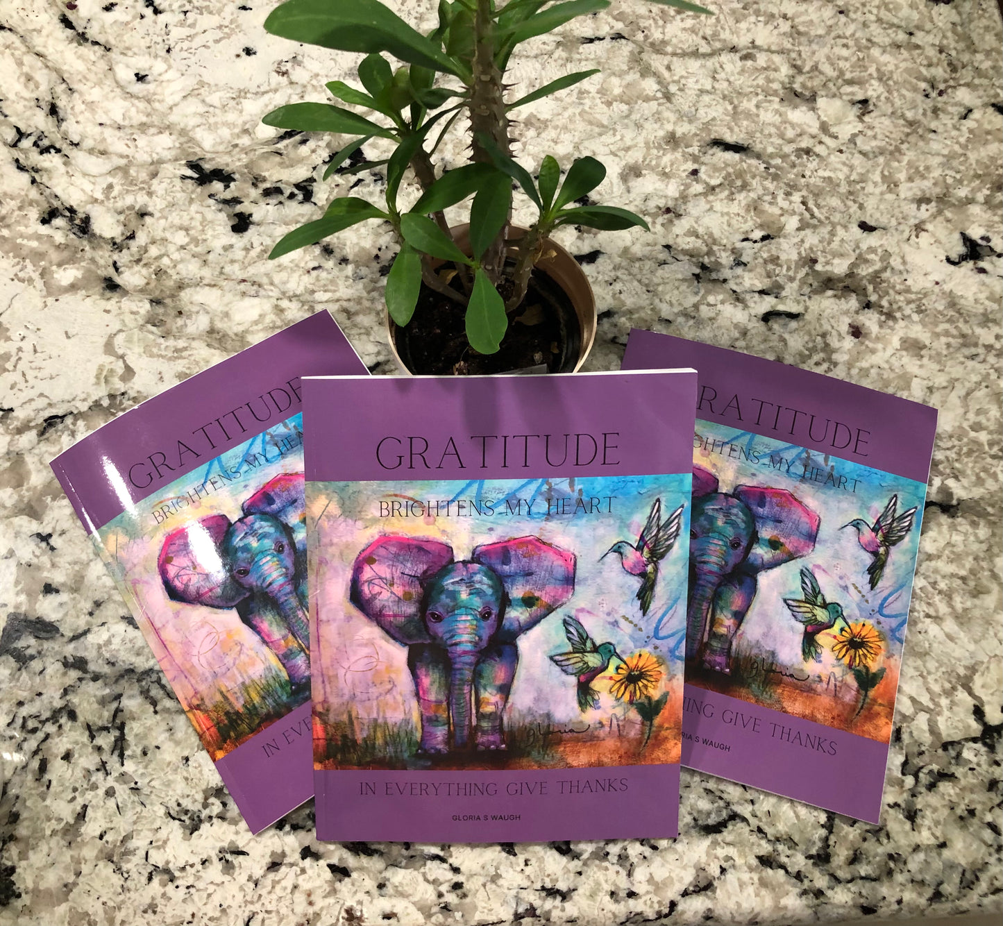 Gratitude Brightens my Heart